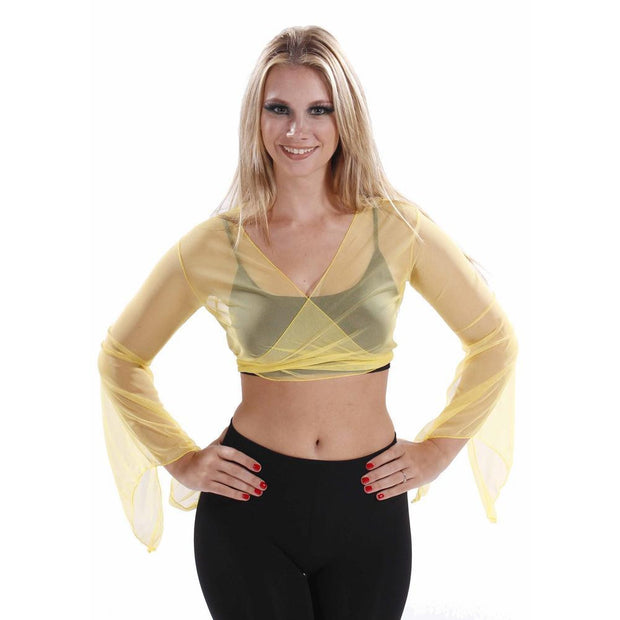 Belly Dance Sheer Chiffon Choli Top