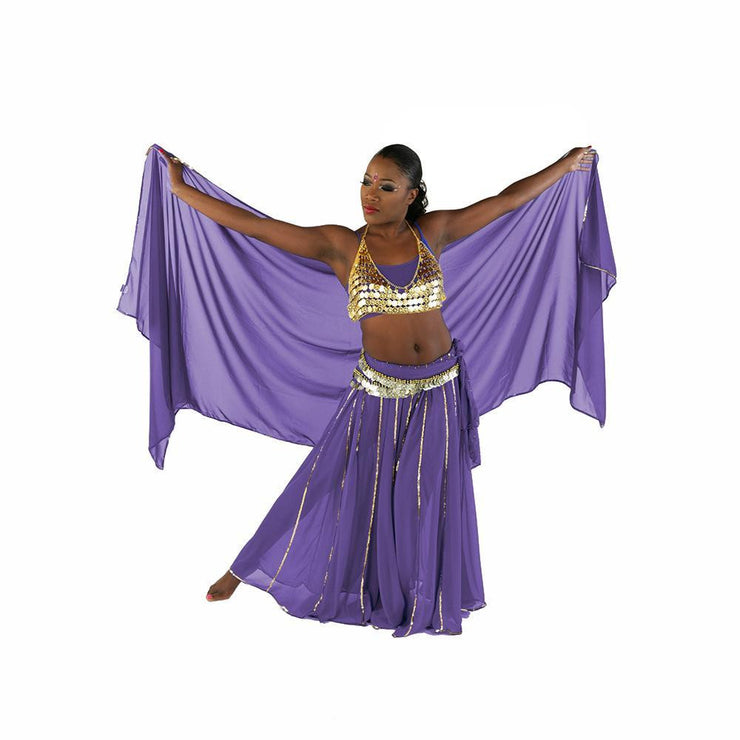 Belly Dance Skirt, Bra, Veil & Hip Scarf Costume Set