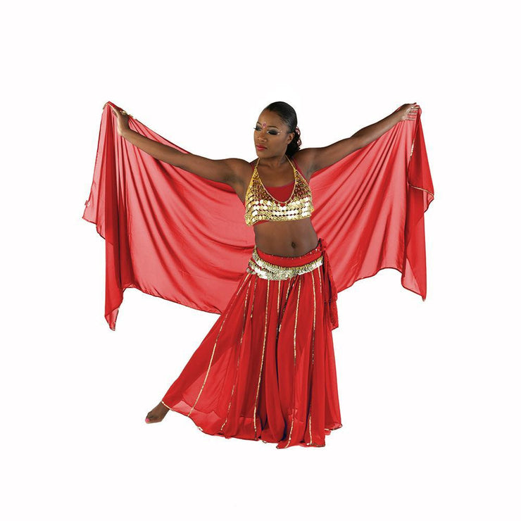 Belly Dance Skirt, Bra, Veil & Hip Scarf Costume Set | STARGAZER