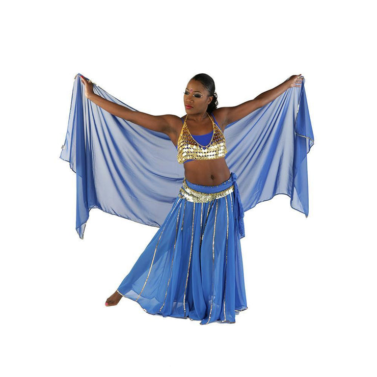 Belly Dance Costume set Bra Belt & Accessories BLUE