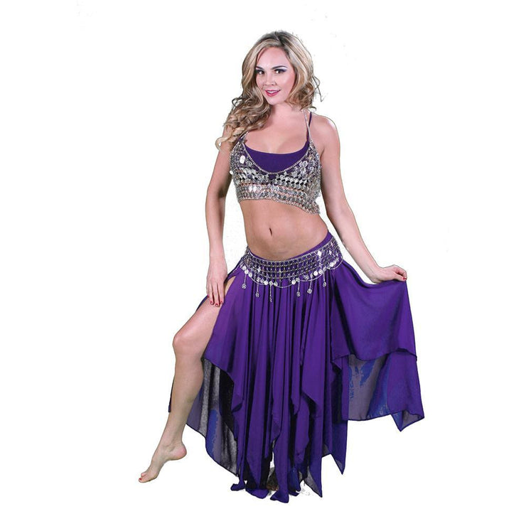 Belly Dance Silver Skirt, Bra, & Belt Costume Set