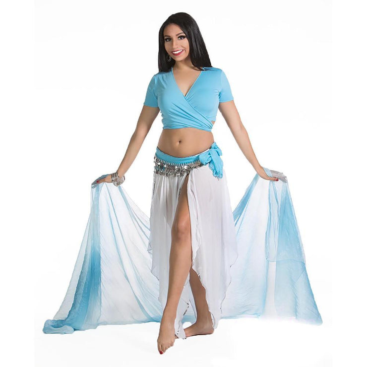 Belly Dance Skirt, Top, Hip Scarf, & Veil Costume Set | PRINCESS RAQS FRANCA