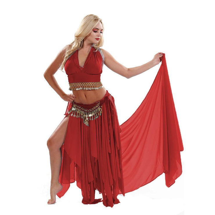 Belly Dance Skirt, Top, Veil, & Hip Scarf Costume Set | ELEGANCE