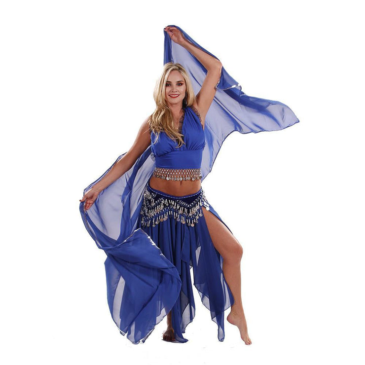 Belly Dance Skirt, Top, Veil, Hip Scarf Costume Set ELEGANCE