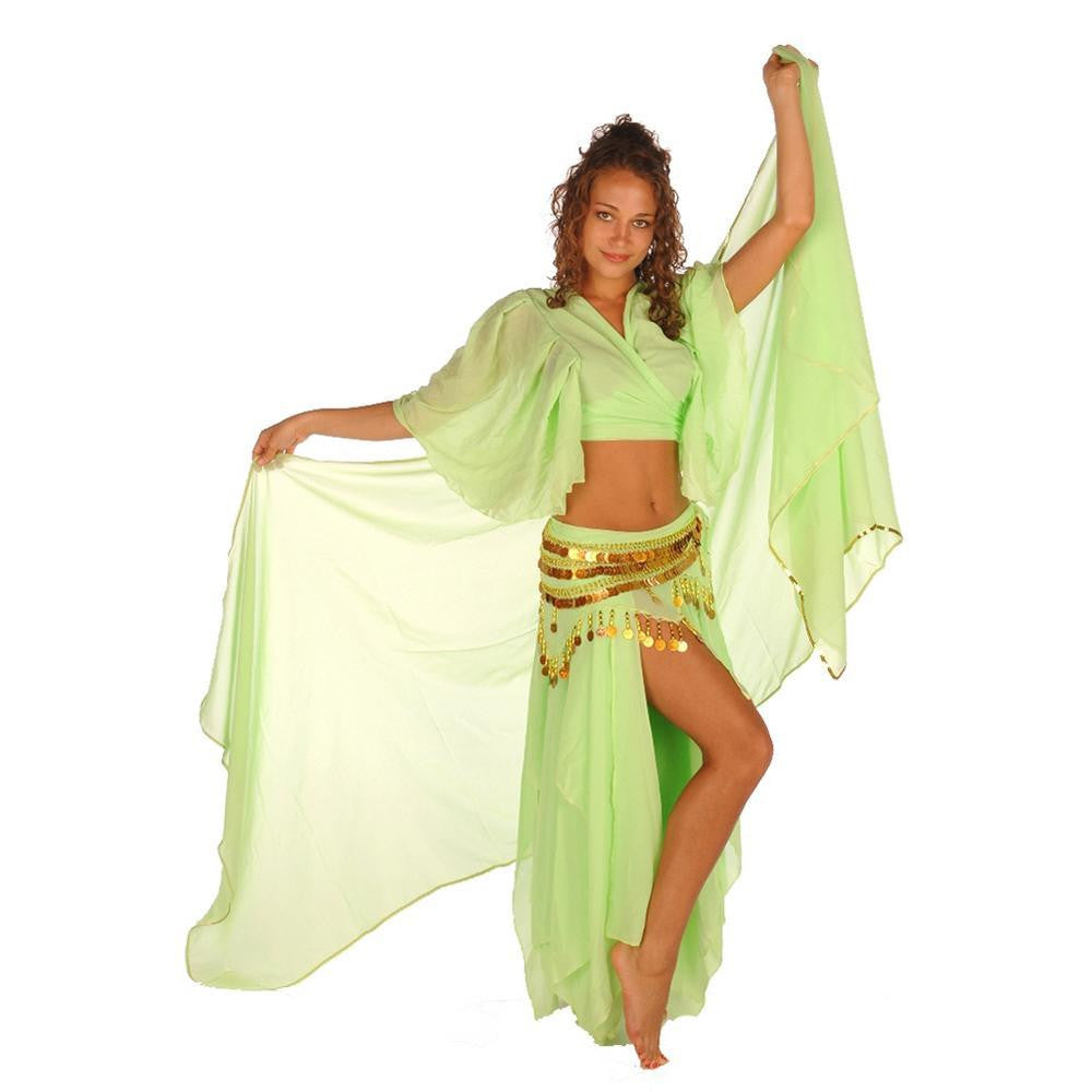 Belly Dance Skirt, Top, Veil, & Hip Scarf Costume Set | SERENITY