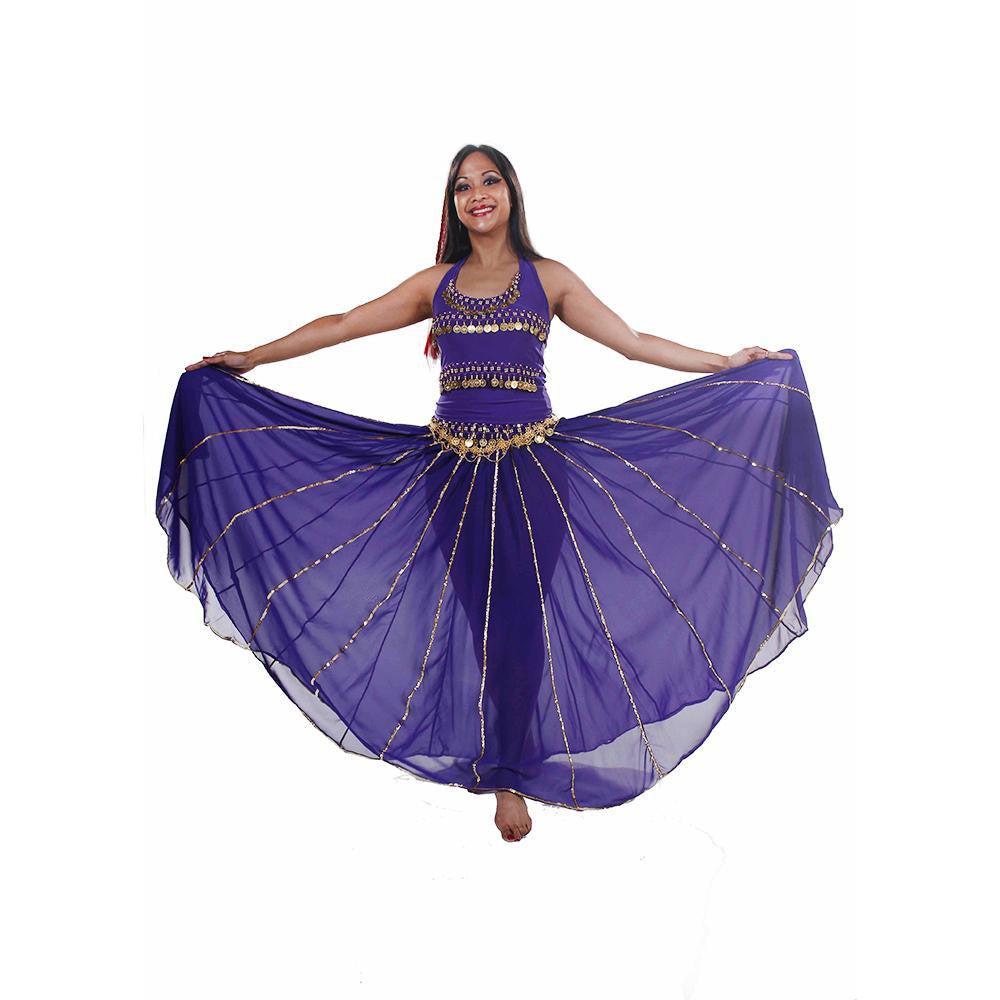 Belly Dance Top, Skirt, & Coin Belt Costume Set